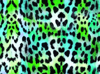 562673-彩色動物紋