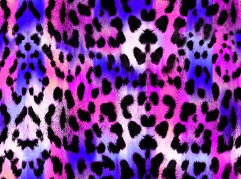 562674-彩色動物紋