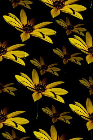 创意图案设计印花华亿平台图片