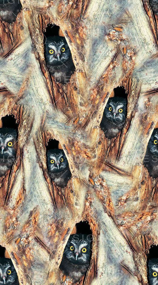 木纹印花华亿平台图片