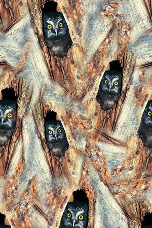 木纹印花华亿平台图片