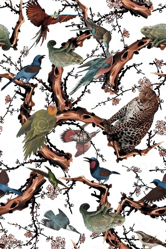 动物印花华亿平台图片