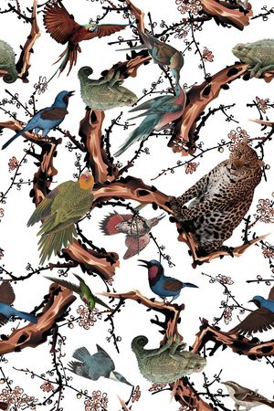 动物印花华亿平台图片