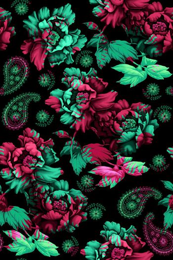 563050-牡丹花朵花卉植物