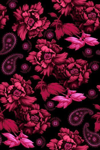 563052-牡丹花朵花卉植物