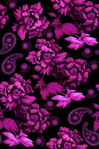 563053-牡丹花朵花卉植物