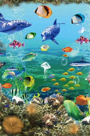 鱼印花华亿平台图片