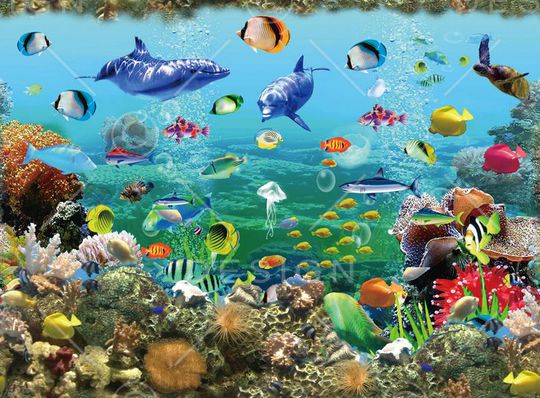 鱼印花华亿平台图片