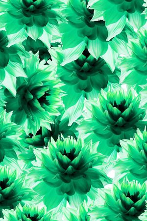 写实印花华亿平台图片