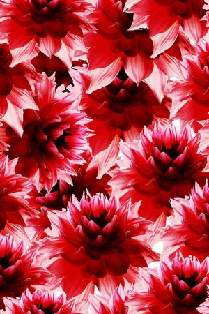 写实印花华亿平台图片