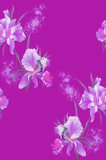 563509-时尚清新花卉组合 