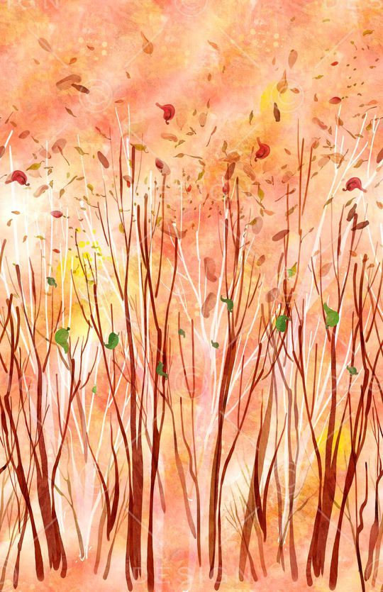 丛林印花华亿平台图片