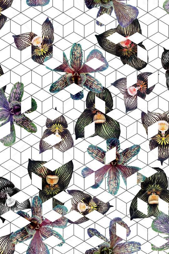 几何印花华亿平台图片