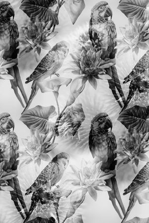 水墨风格印花华亿平台图片