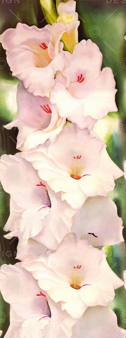 中间定位印花华亿平台图片