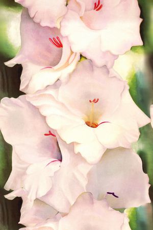 中间定位印花华亿平台图片