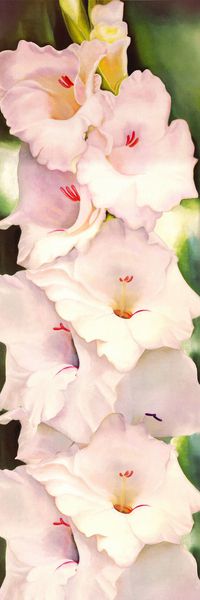 中间定位印花华亿平台图片