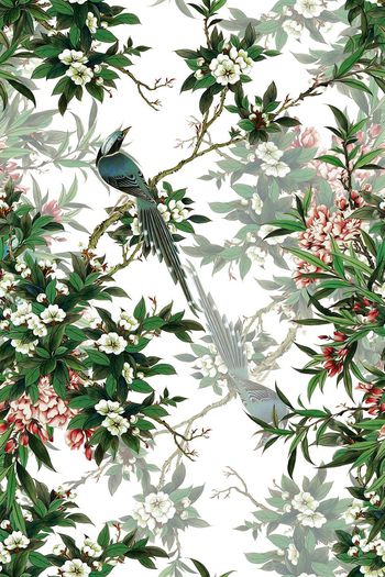 563802-YD中国风001