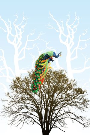 中国风印花华亿平台图片