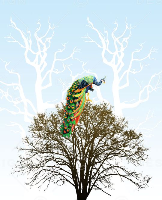 中国风印花华亿平台图片