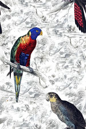 动物印花华亿平台图片