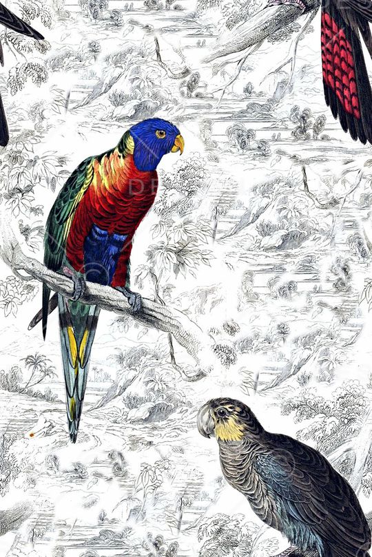 动物印花华亿平台图片