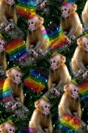 彩虹印花华亿平台图片