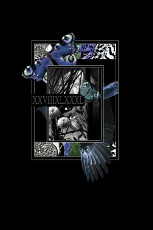 翅膀印花华亿平台图片