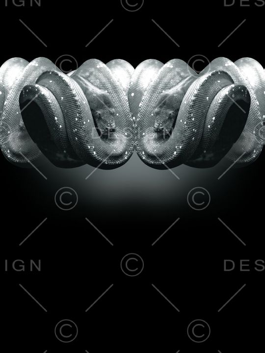 Just Cavalli印花华亿平台图片