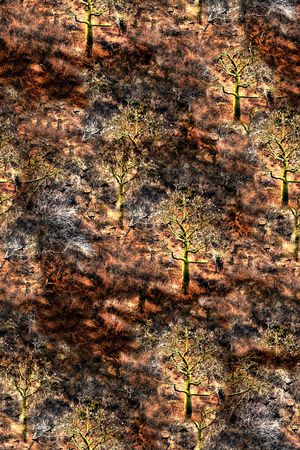 Just Cavalli印花华亿平台图片