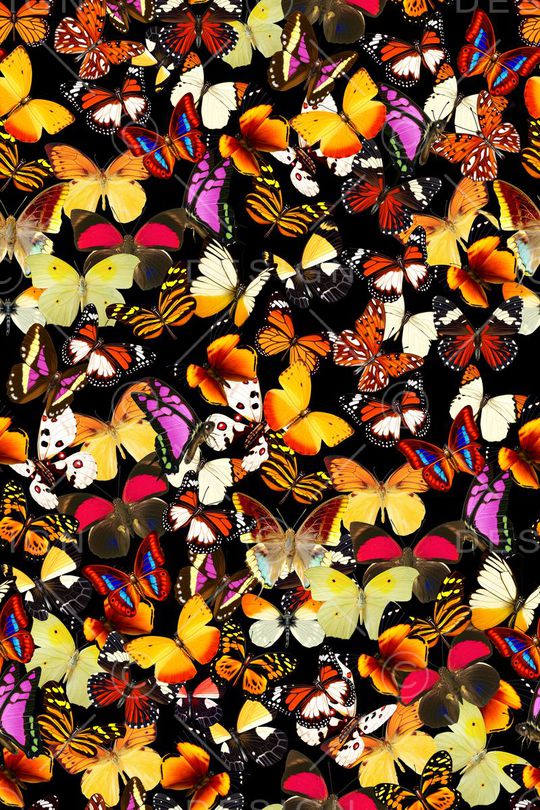 缤纷印花华亿平台图片