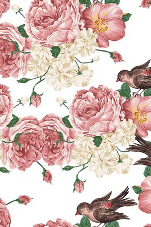 鸟类印花华亿平台图片