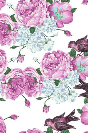 鸟类印花华亿平台图片