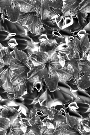 Just Cavalli印花华亿平台图片