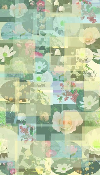 564201-时尚   流行   花卉  几何 