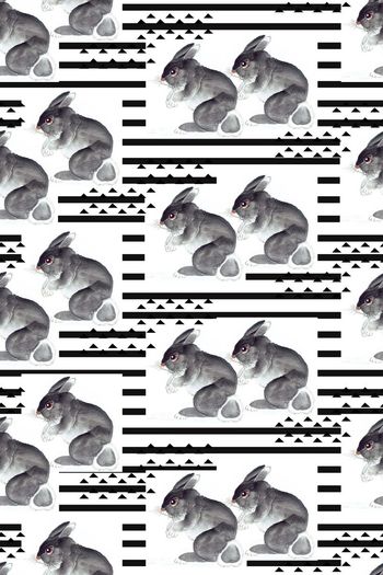 564233-兔子几何图形