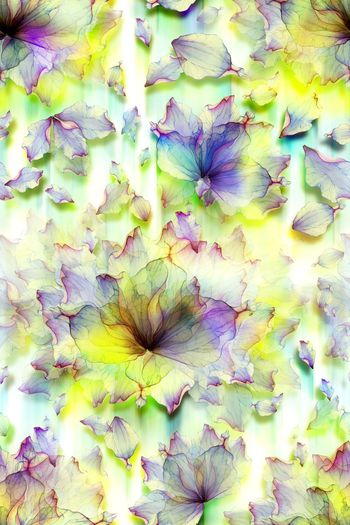 564253-素雅滤色花卉