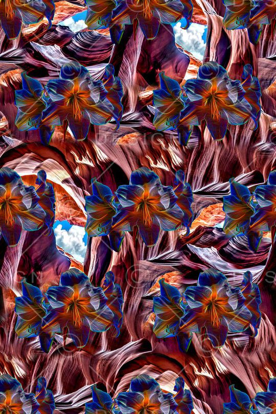 潮流大牌印花华亿平台图片