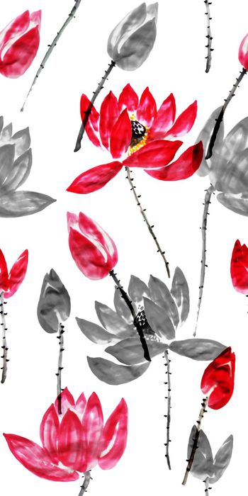 564434-原创手绘 水墨荷花