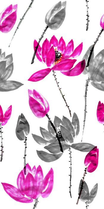 564476-原创手绘 水墨荷花