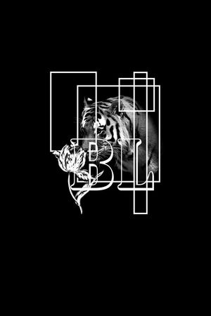 欧美大牌风格印花华亿平台图片