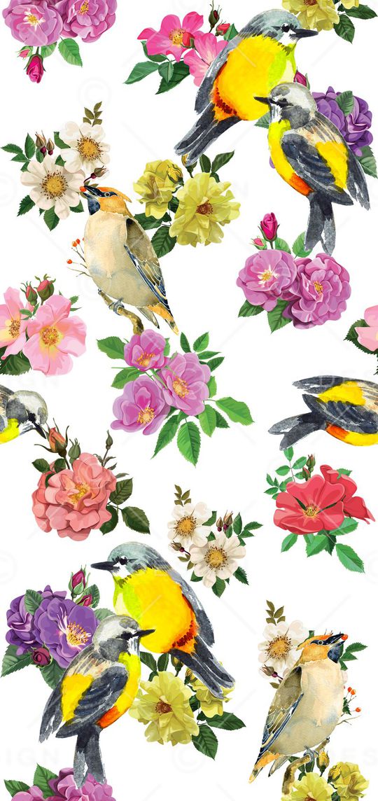 流行时尚麻雀花卉印花华亿平台图片