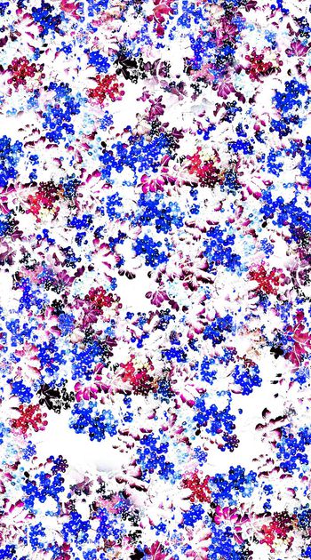 564596-抽象 满版 工笔画 植物 数码 印