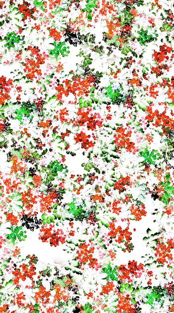 564598-抽象 满版 工笔画 植物 数码 印