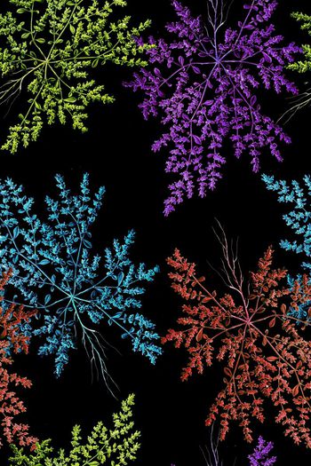 564601-时尚五彩清新植物组合 服装 家纺图