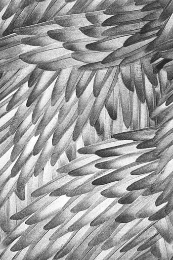 原创时尚大牌印花华亿平台图片