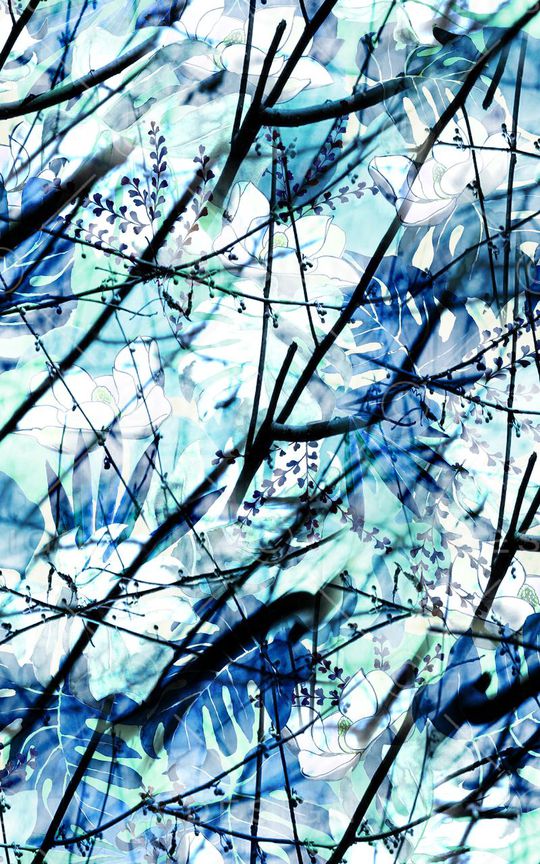 热带印花华亿平台图片