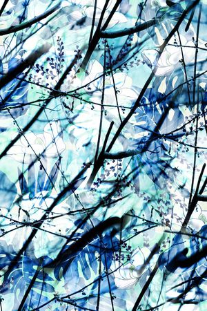 热带印花华亿平台图片