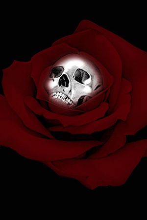 骷髅印花华亿平台图片