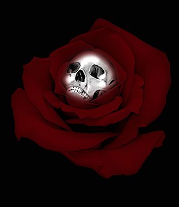 骷髅印花华亿平台图片